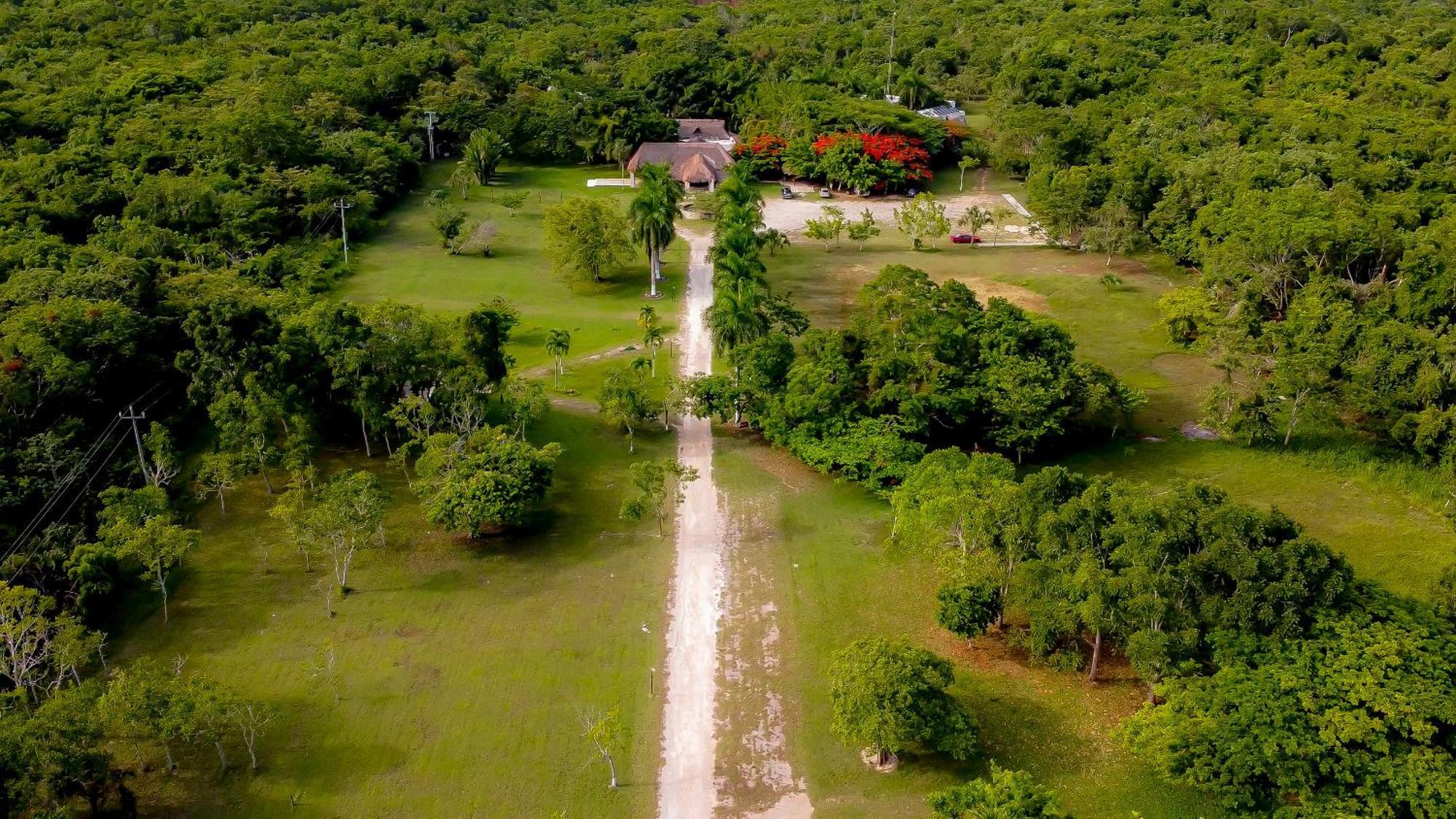 Mayan Secret Hotel Boutique チェトゥマル エクステリア 写真