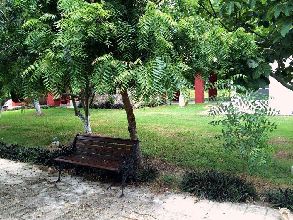 Mayan Secret Hotel Boutique チェトゥマル エクステリア 写真